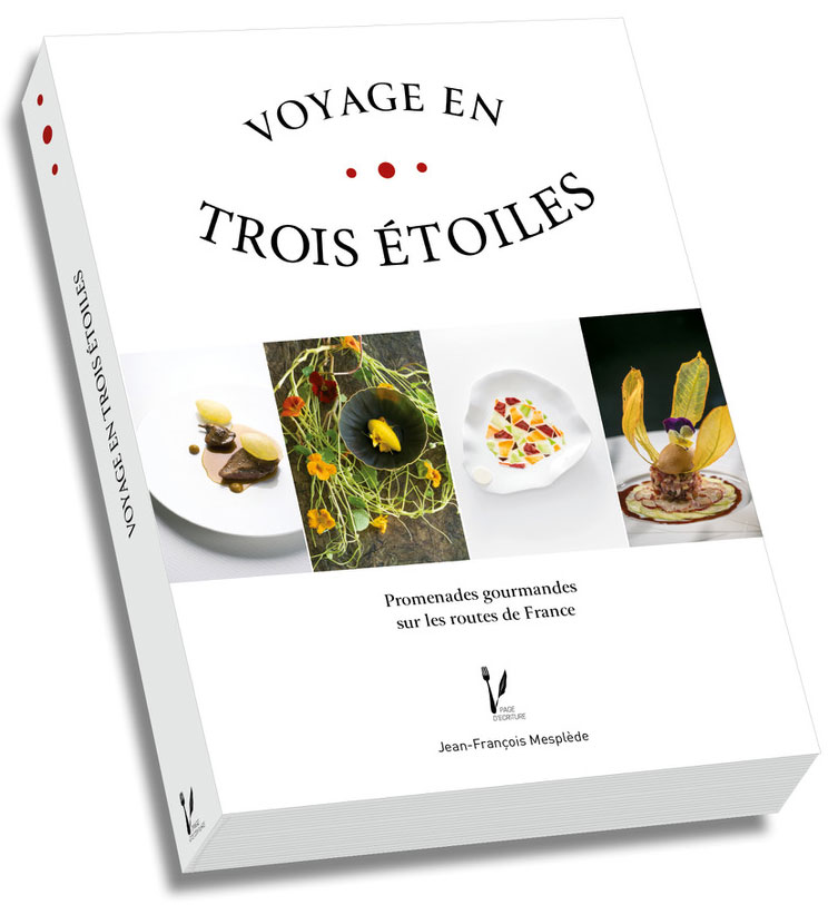Voyages en trois etoiles - jf Mesplède